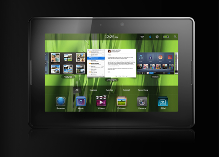Blackberry Playbook